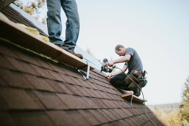 Best Roof Gutter Cleaning  in Racine, WI